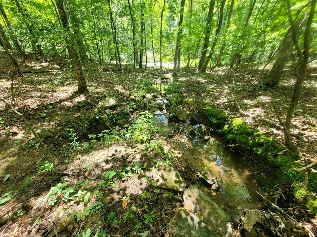 Picture 19