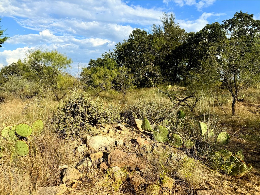 Picture 26