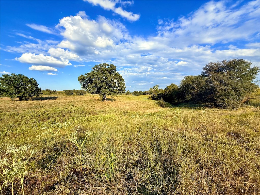 Picture 28