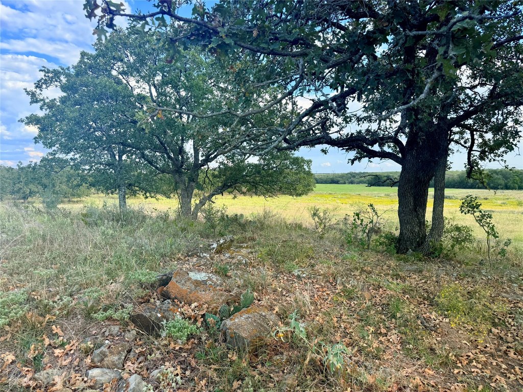 Picture 20