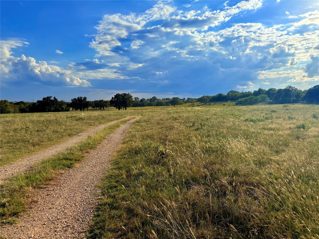 Picture 27