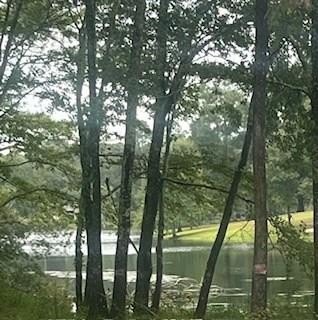 Lakefront Lot in Lake Hillsdale