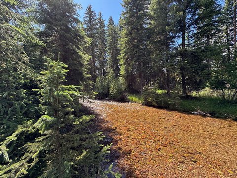 No-Restrictions Waterfront Land