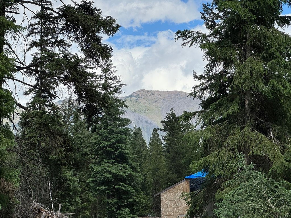 Picture 25