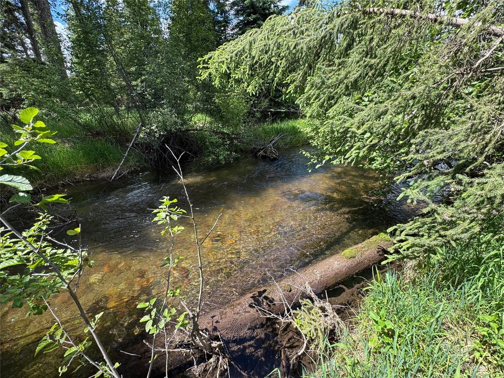 Picture 9