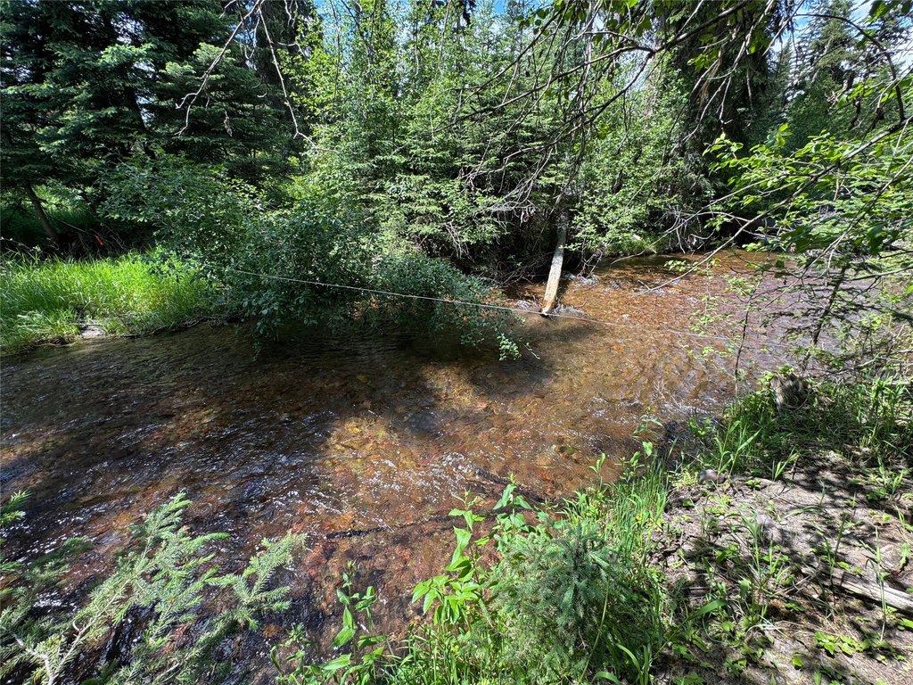 Picture 7