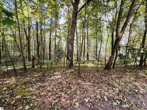 Vacant Land Near Downtown Cadillac
