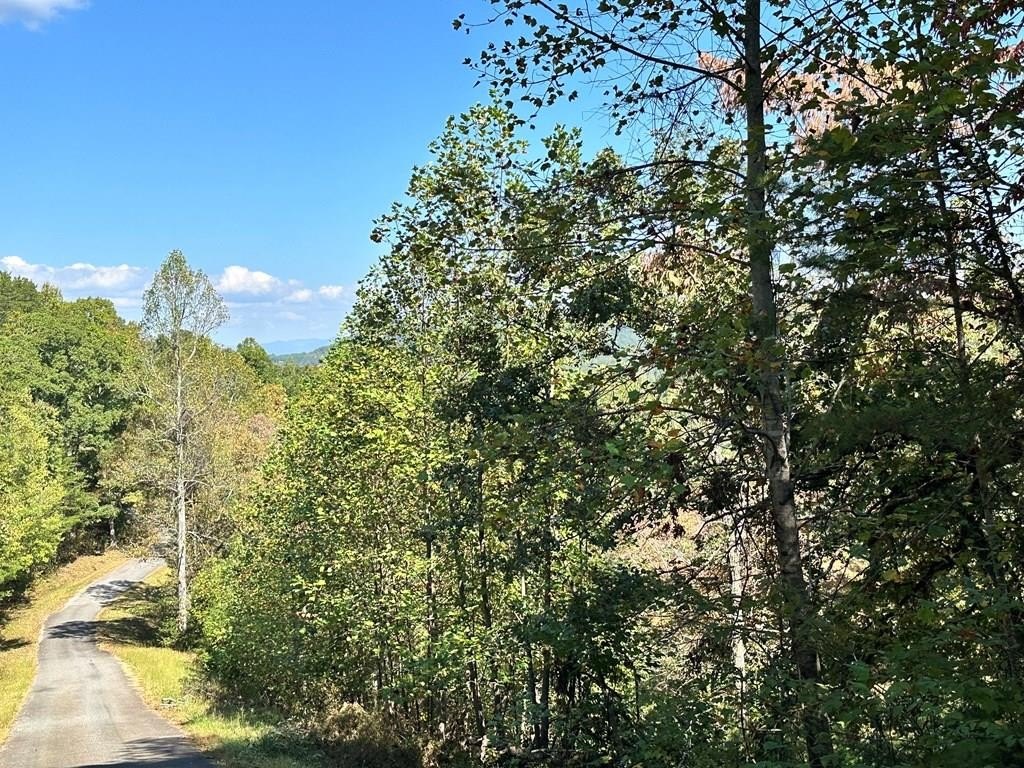 Young Harris Vacant Land Lot