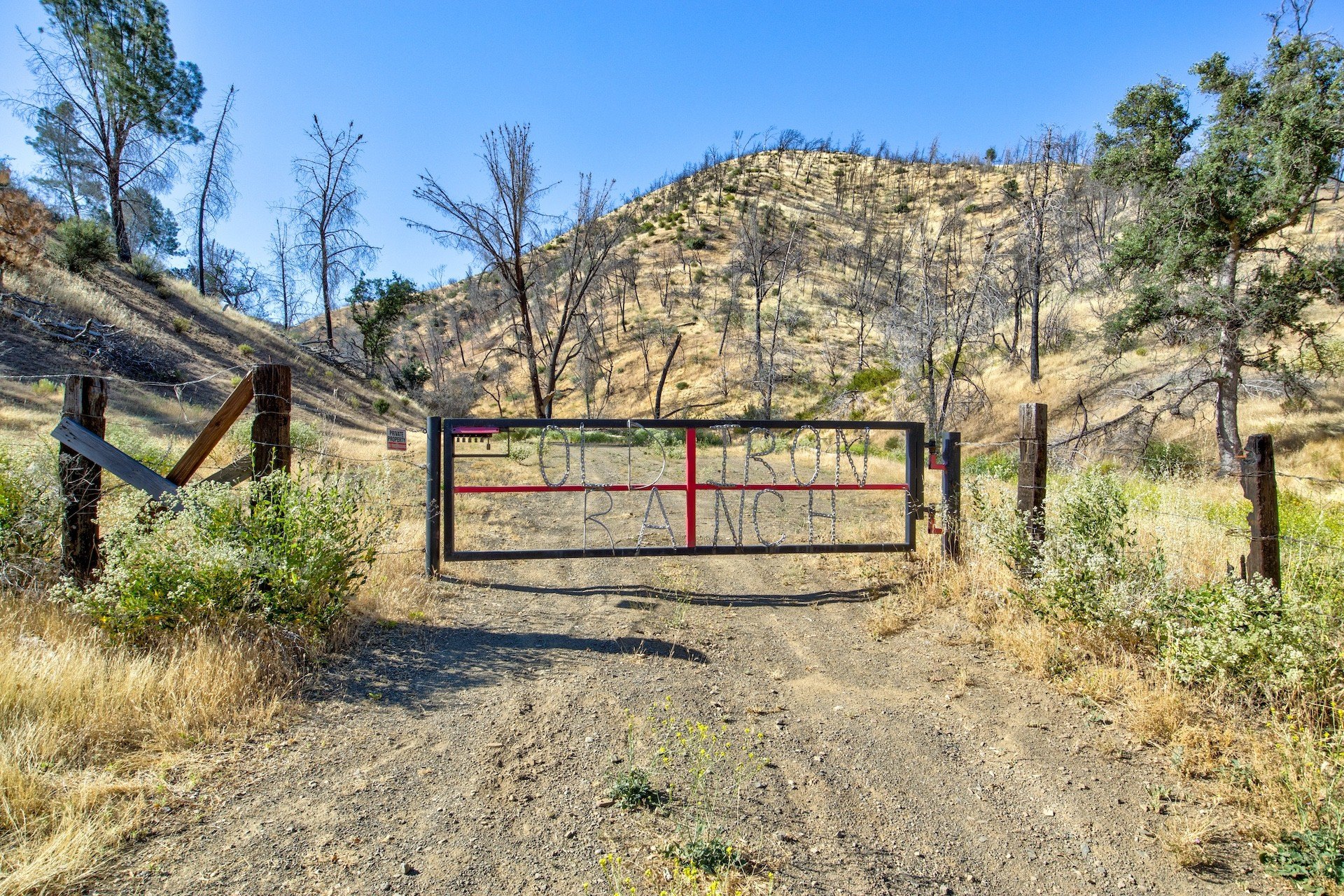 337 Acres Near Frank Raines