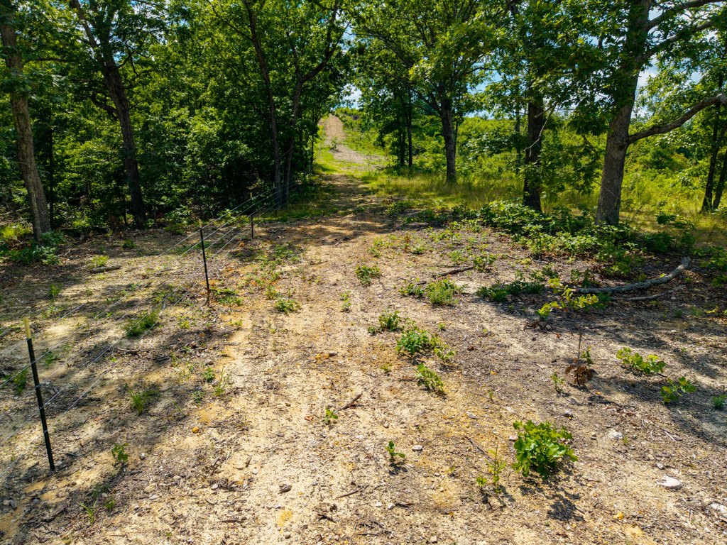 Picture 21