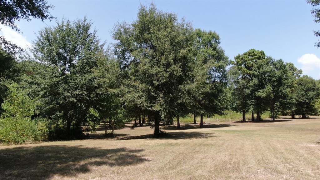 Picture 17