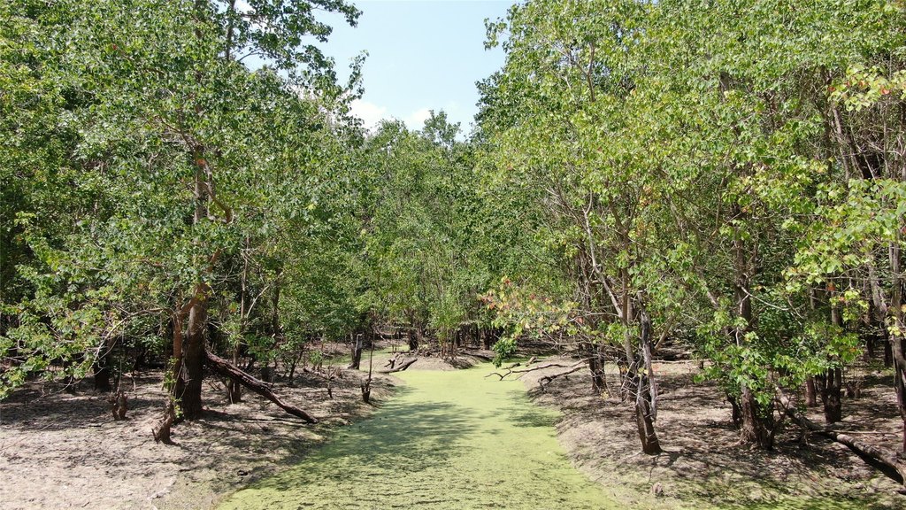 Picture 30