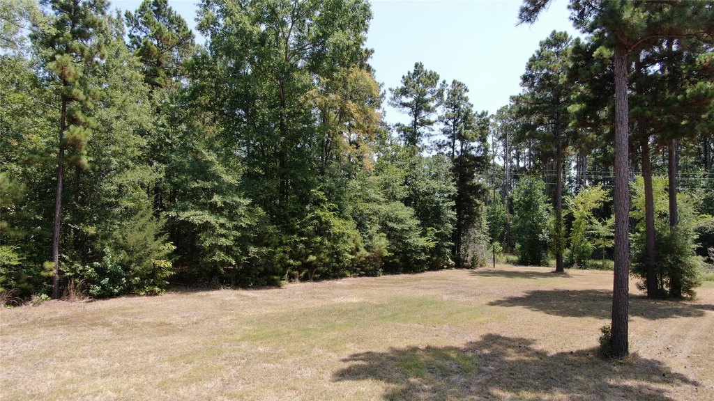 Picture 15
