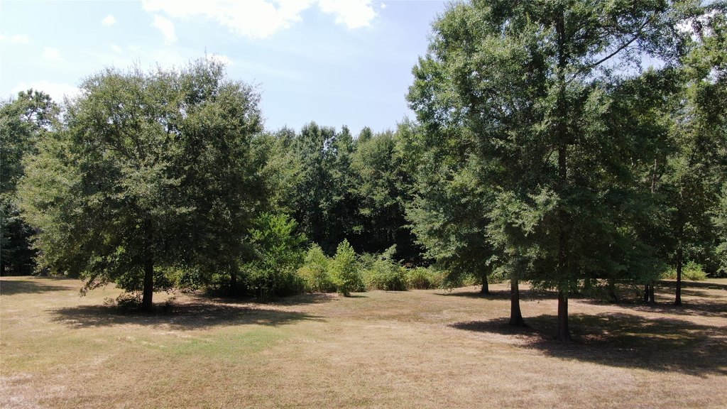 Picture 14