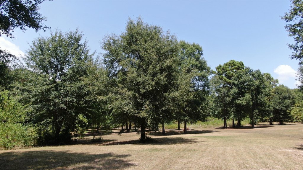 Picture 22