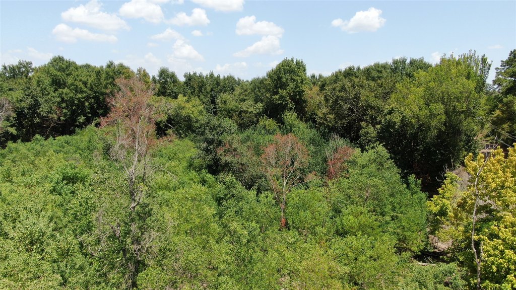 Picture 24
