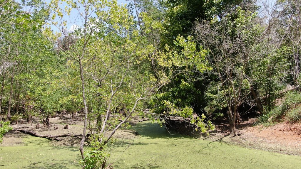 Picture 31