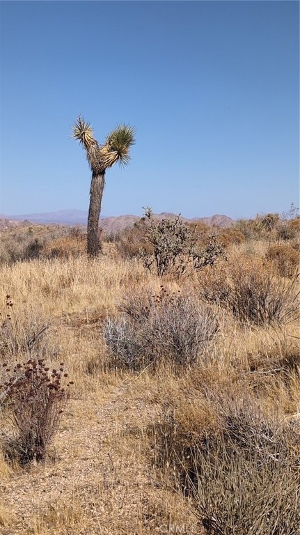 Picture 5