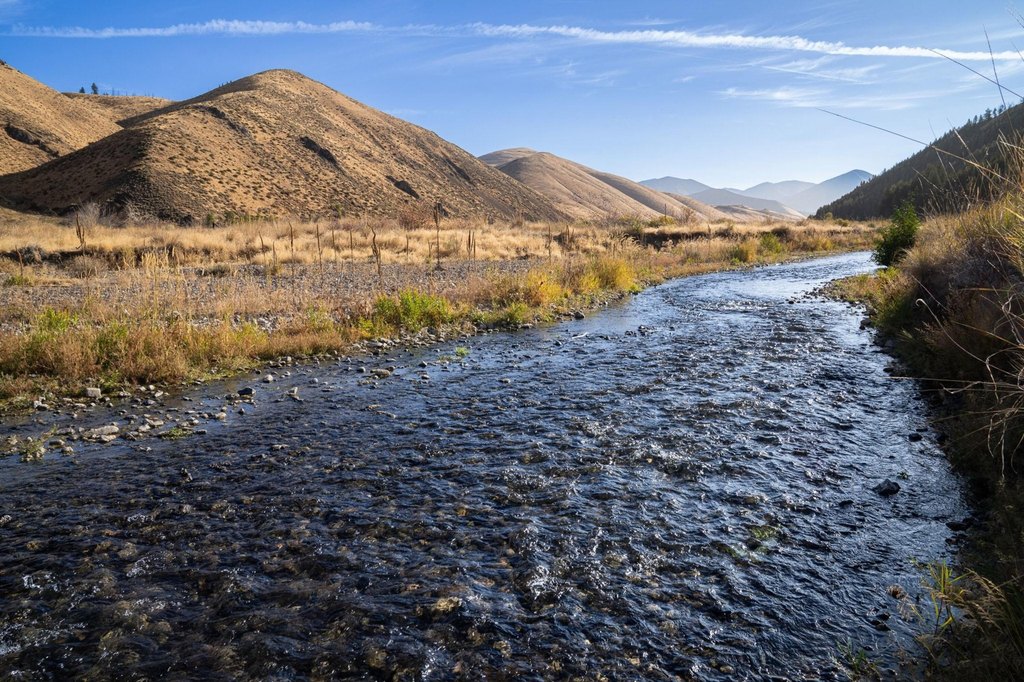 Picture 22