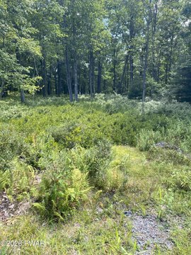 Land, Hawley, PA