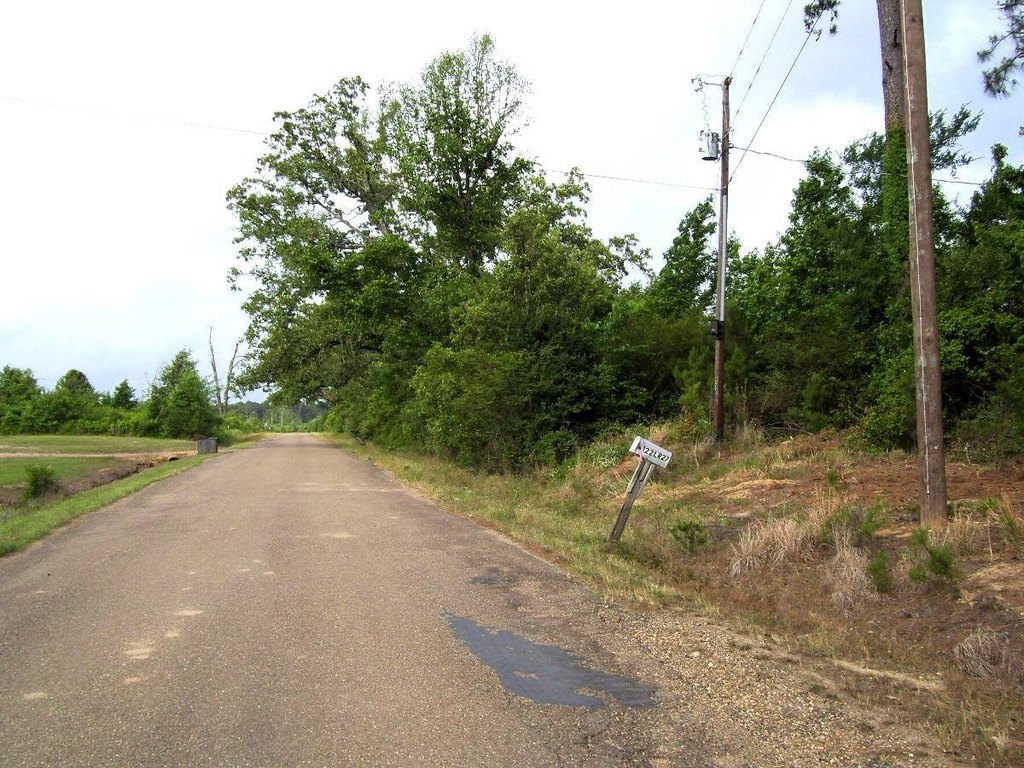 Picture 3