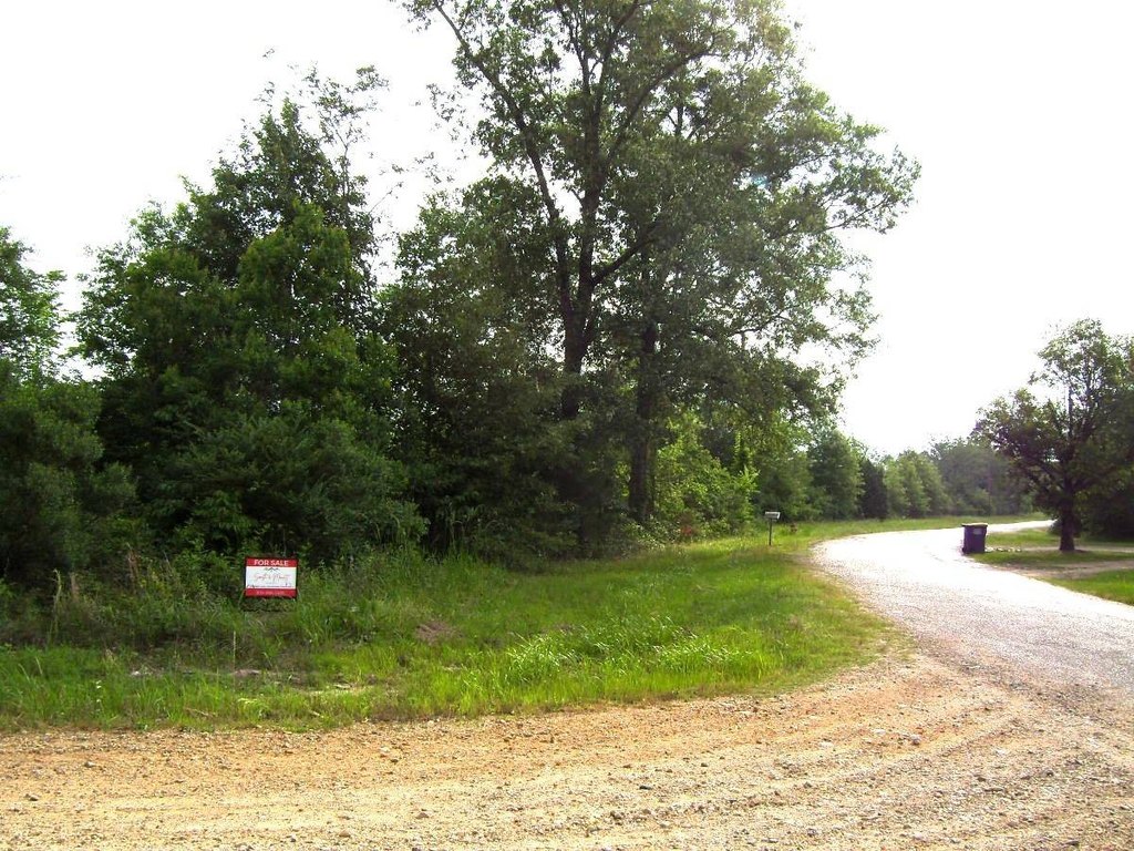 Picture 4