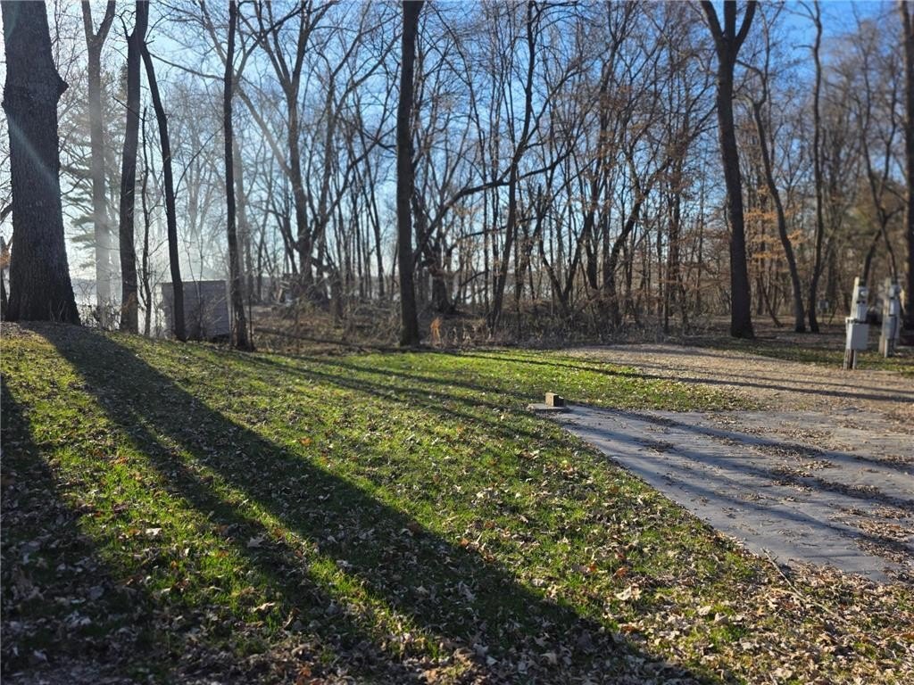 Picture 8