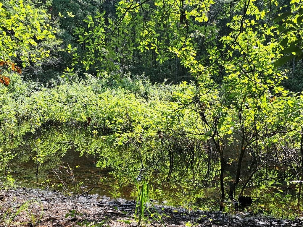 Land Near Spire Landing