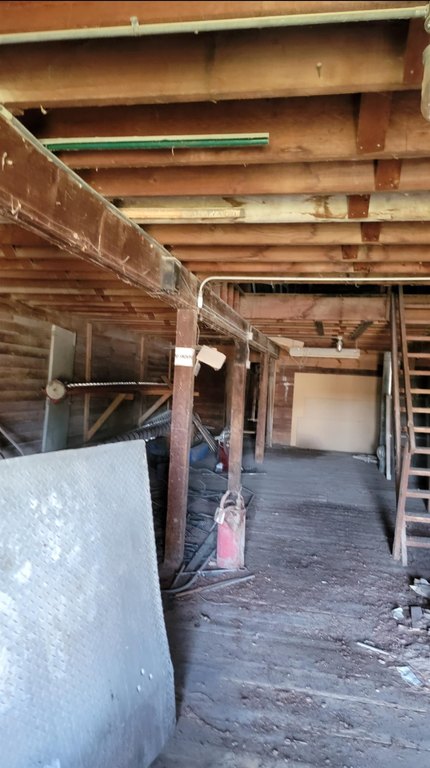 Picture 9
