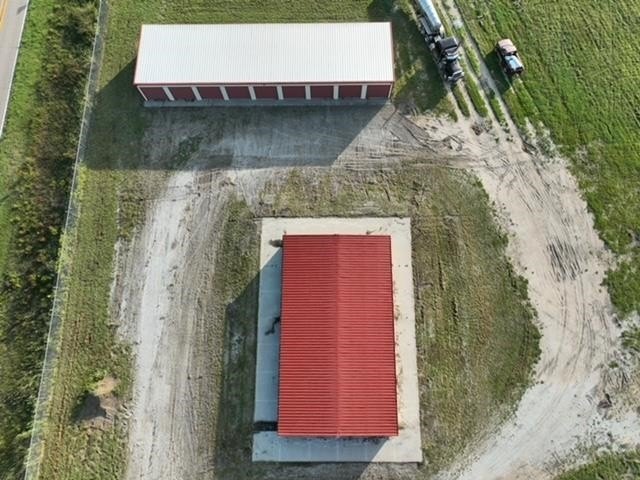 Picture 5