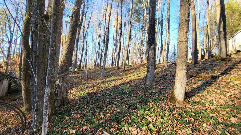 Picture 3