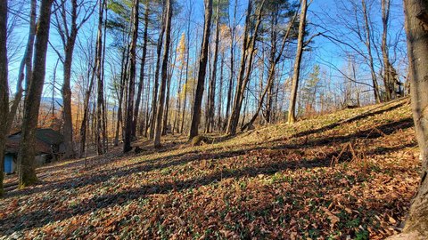 Land, Calais, VT