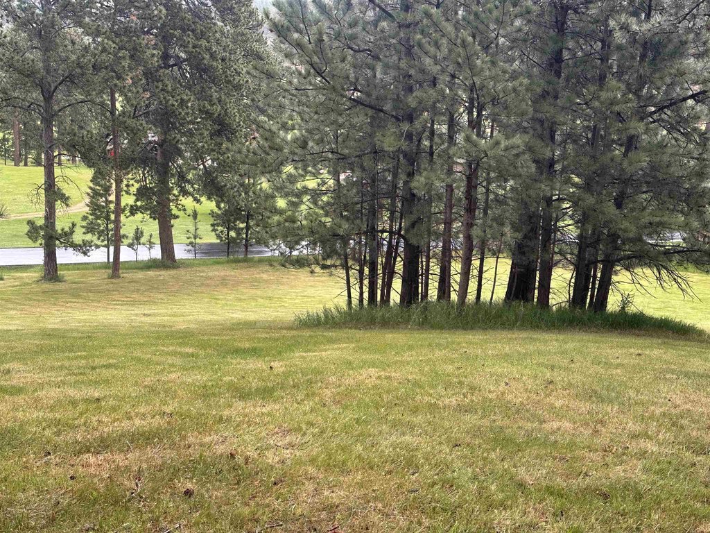 Picture 15