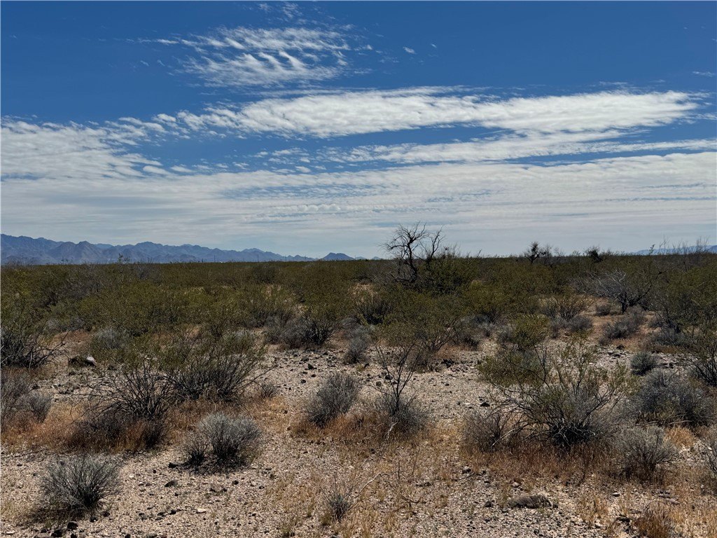 Picture 24