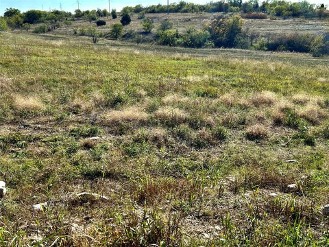 Luxury Hillside Estate Land