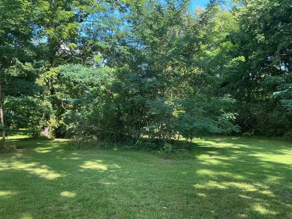Picture 21