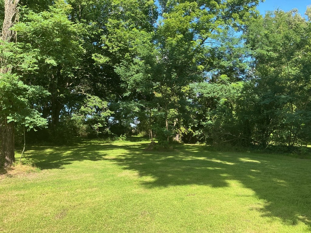 Picture 20