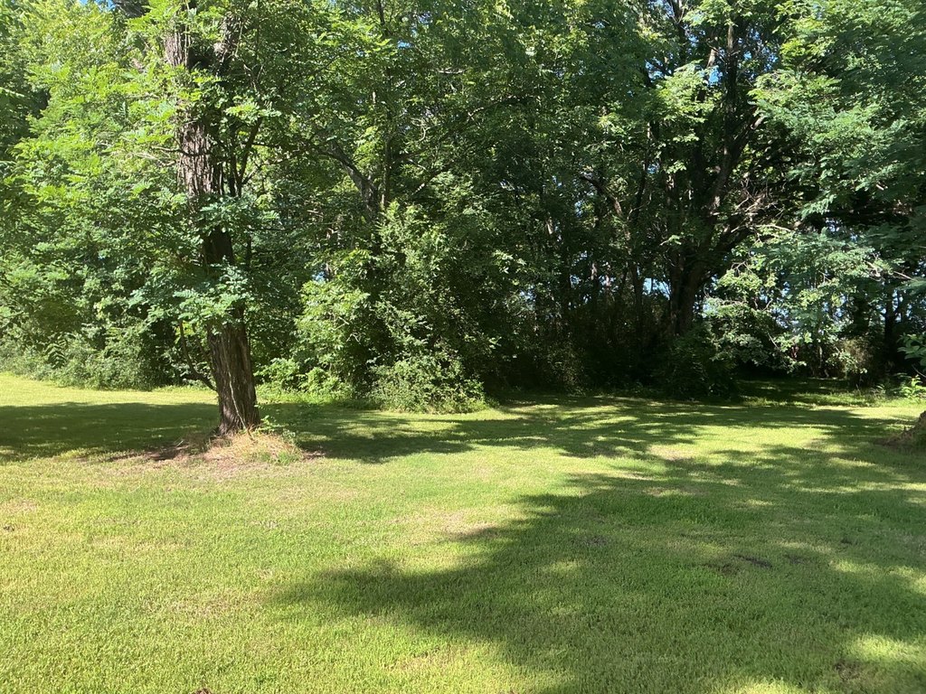 Picture 19