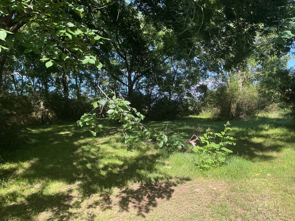 Picture 26