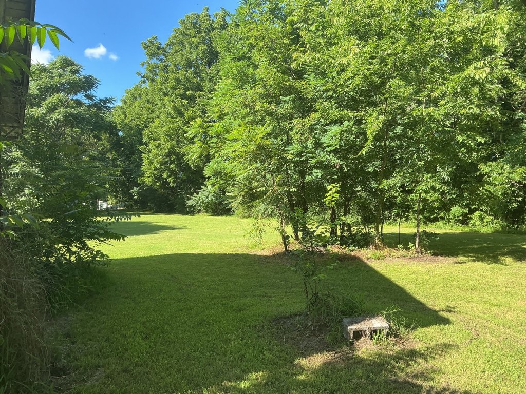 Picture 22