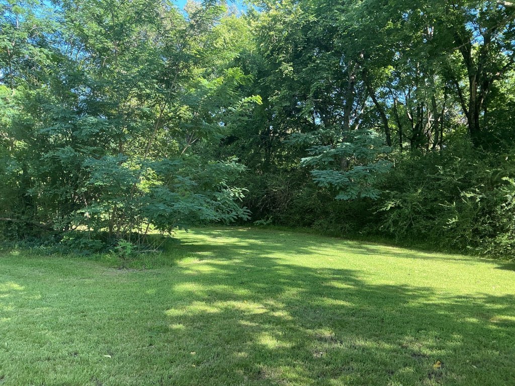 Picture 24