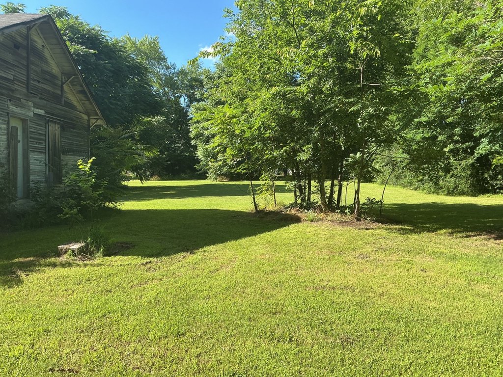 Picture 25