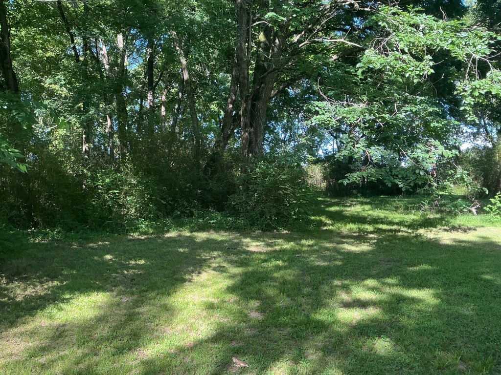 Picture 23