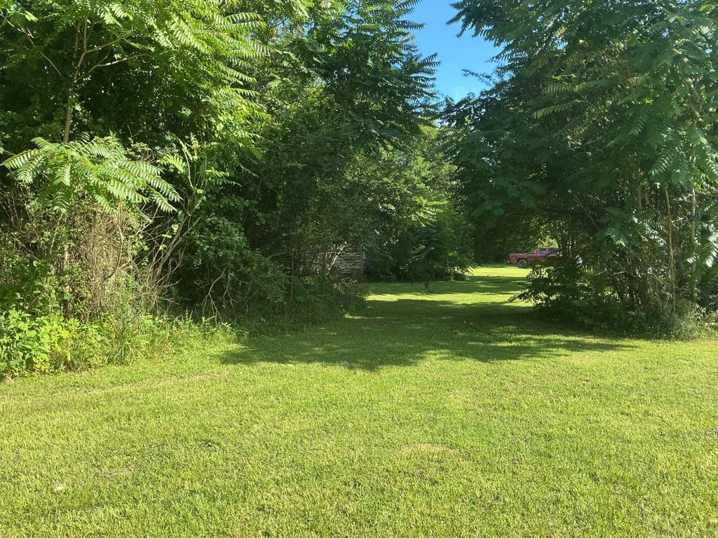 Picture 18