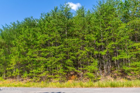 Lots & Acreage, Newport, TN