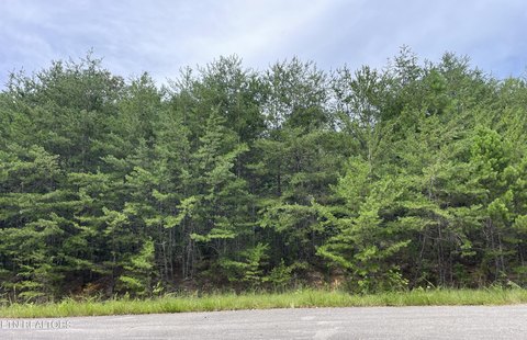 Lots & Acreage, Cosby, TN