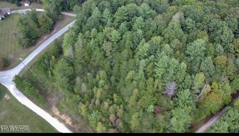 Lots & Acreage, Oneida, TN