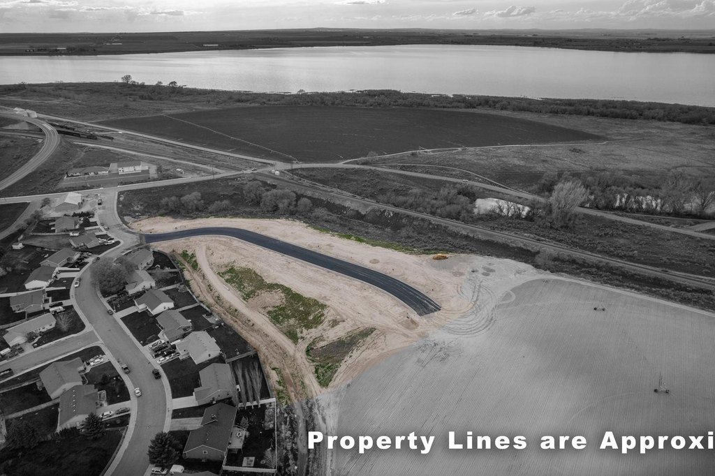 Picture 8
