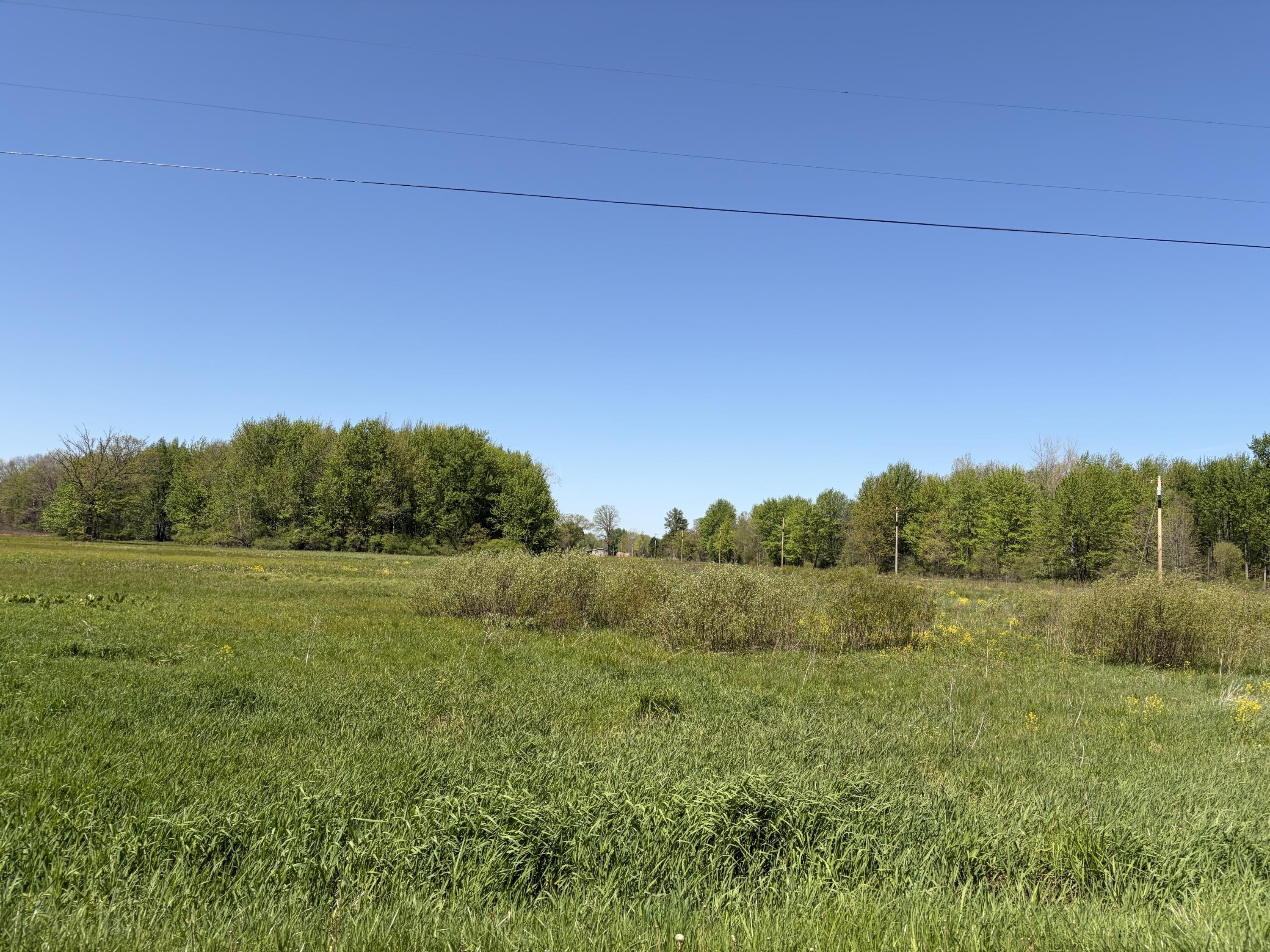 Paw Paw Buildable Land Parcel