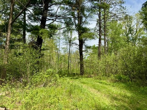 Hunting Land with Private Lake